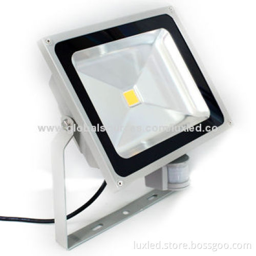 Sensor LED Floodlight with Bridgelux, IP65 Waterproof, Lighting for Garden, Wall, Gate or Parking